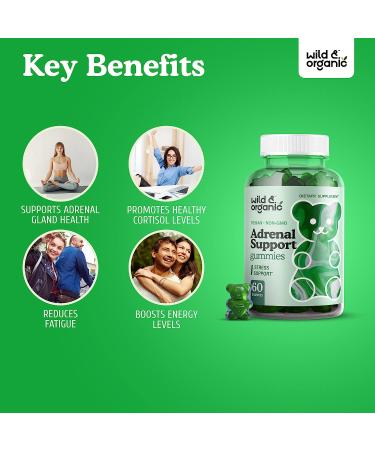 Wild & Organic Adrenal Support Gummies - Energy, Stress Relief & Calm - Vegan - 60 Chews - Buy Online on GoSupps.com