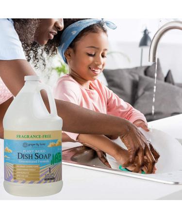 Ginger Lily Farms Botanicals Plant-Based Liquid Dish Soap 1 Gallon Refill - Concentrated Formula for Max Grease Cleaning Power - Cruelty-Free & Fragrance-Free -128 Fl Oz - Buy Online on GoSupps.com