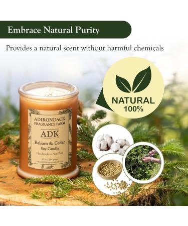 ADK Balsam & Cedar Scented Candle - 10 Oz Natural Aromatherapy for Home & Kitchen Decor | Relaxing Plant-Based Wax Gift for Christmas - Buy Online on GoSupps.com