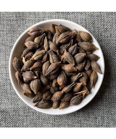 Forsythia Fructus Forsythiae golden Bell Forsythia Fruit Forsythia Suspensa lianqiao Forsythia Suspensa Vahl the Fructus Forsythiae Forsythia SuspensaVahl the Forsythia (8 oz) - Buy Online on GoSupps.com