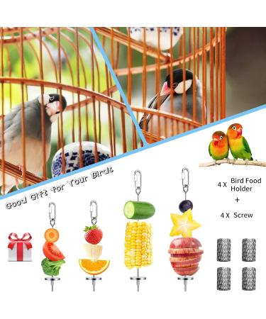 4 Pack Parrot Spit Toys - Stainless Steel Fruit & Vegetable Holders for Budgies & Nymphensittich - Perfect Hanging Feeders for Parrots - Buy Online on GoSupps.com