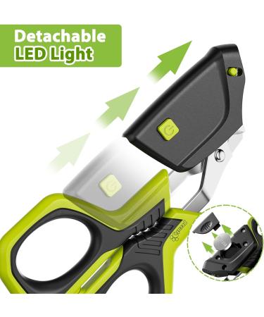 Professional Pet Nail Trimmer with LED Light for Cats, Small Dogs, and Small Animals - Black/Green Stainless Steel Clippers - Buy Online on GoSupps.com