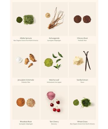 ProMix Nutrition Raw Greens Superfood Blend - Sprouted Alfalfa Wheatgrass Ashwagandha & Rhodiola - 30 Servings 6.92 Ounce (Pack of 1) - Buy Online on GoSupps.com