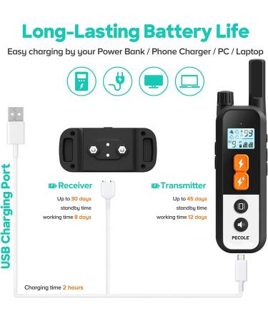 Rechargeable Dog Training Collar with Remote - Waterproof Shock Collar for Dogs - Vibration, Beep, 99 Levels - All Breeds & Sizes - PE-18 - Buy Online on GoSupps.com
