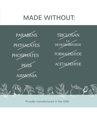 Buy Plant Therapy Northern Fir Candle - 8 oz Hand-Poured Coconut & Soy Wax Refreshing Forest Scent Frosted White Jar with Wooden Lid - International Shipping Available - Buy Online on GoSupps.com