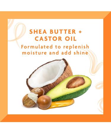 Cantu Comeback Curl Next Day Revitalizer Mist with Shea Butter - 12 fl oz (Pack of 1) - Buy Online on GoSupps.com