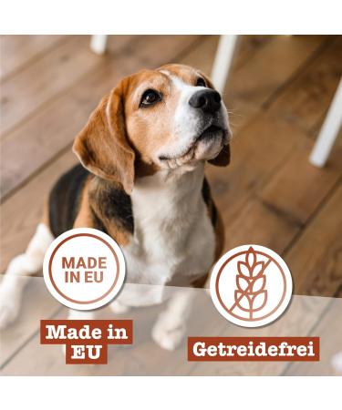 Chewies Hundeleckerli Horse Strips - Low Fat Hypoallergenic Monoprotein Dog Treats - 300g High-Quality Meat Snacks for Dogs - Buy Online on GoSupps.com