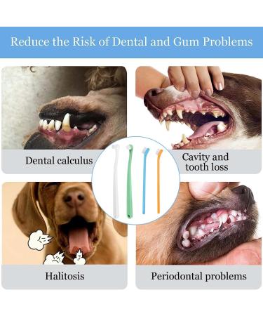 CAVLA 4 Pcs Small Dog Toothbrushes Cat Toothbrush Mini Head Soft Bristle Pet Toothbrush Pet Dental Care Kit Pet Oral Cleaning Products for Puppy Kitten Cats&Small Breed Dogs (B) - Buy Online on GoSupps.com