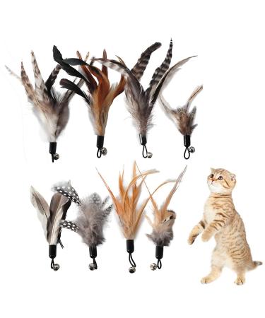 Kireida 8 pieces Cat Feather Toys Replacement - Cats Spring Toys for Cats Without Chemical Dyes - including refills for natural cat springs - Buy Online on GoSupps.com
