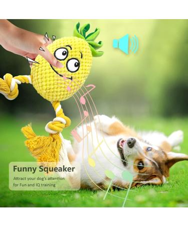 SQinor Plush Dog Toys - Interactive Pineapple Toy Set for Large & Small Dogs | Cuddly Puppy Plaything - Buy Online on GoSupps.com