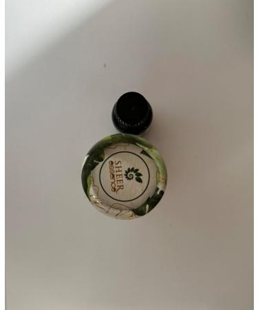 Ravintsara (Ho Leaf) Oil 15 ML - 100% Pure Natural Cinnamomum Camphora Essential Oil | Therapeutic Grade Undiluted & Uncut - International Shipping Available - Buy Online on GoSupps.com