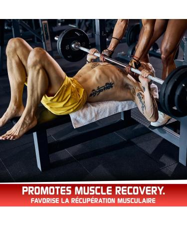 Predator Labs - Pred Iso 2kg - Lactoserum isolate protein powder 62 servings (Mocha) - Buy Online on GoSupps.com