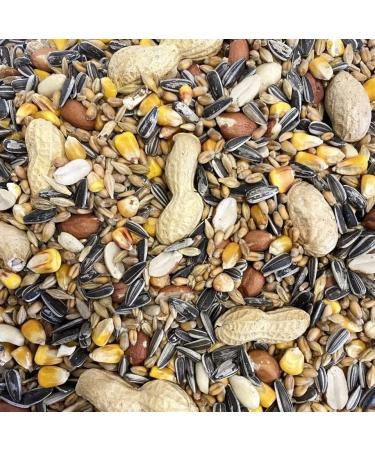 Squirrel Mixture 500g - Premium Wild Life Food Seed Feed for Garden - SMW - Buy Online on GoSupps.com
