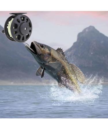 FGXY GLA5/6 Fishing Roller for Fly Fishing - Lightweight Large Coil Core with Fishing Line - Buy Online on GoSupps.com