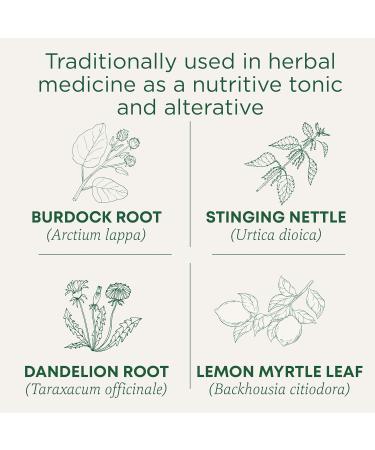 Traditional Medicinals Organic Chamomile Herbal Tea 16 Count & Organic Everyday Detox Lemon Herbal Tea - with Stinging Nettle & Burdock Root to Remove Accumulated Waste from The Body - 16 Tea Bags - Buy Online on GoSupps.com