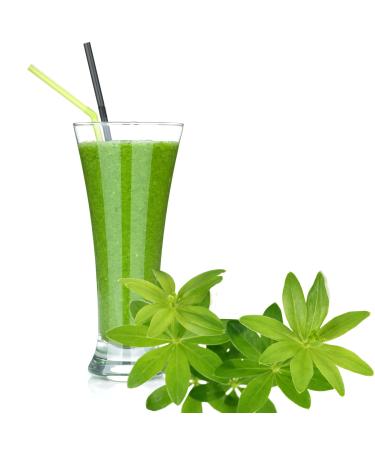 Luxofit Waldmeister Sweet Molke Drink Powder with whey protein enriched with L-carnitine asparta-free natural dyes quick and easy preparation (1 kg)