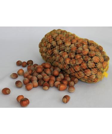 Premium German Hazelnuts - Perfect for Humans & Animal Feed - 1 kg Whole Nuts for Squirrels Rodents & Parrots - Buy Online on GoSupps.com