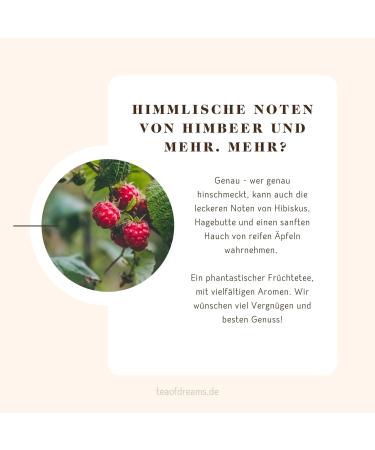  Tea of Dreams Organic Fruit Tea | "Raspberry & More" | With Delicious Fruit Chunks | Loose Tea | 120g - Buy Online on GoSupps.com