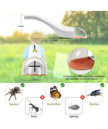 BASVII Insect Catcher - Spider Catcher for Home and Garden Easy to Catch and Observe Insects Breathable and Effective Bug - Buy Online on GoSupps.com