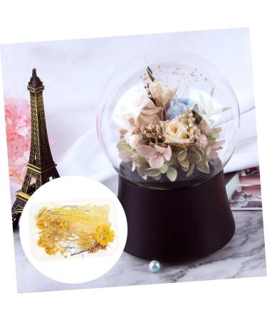 Zerodeko 1 Box Dried Flowers Dry Flowers for Resin Dried Hydrangea Flowers Scrapbooking Art Floral Picture Frame Flower Diy Floral Material Package Pressed Flowers Natural Fine Decorate Yellow 11X1CM - Buy Online on GoSupps.com