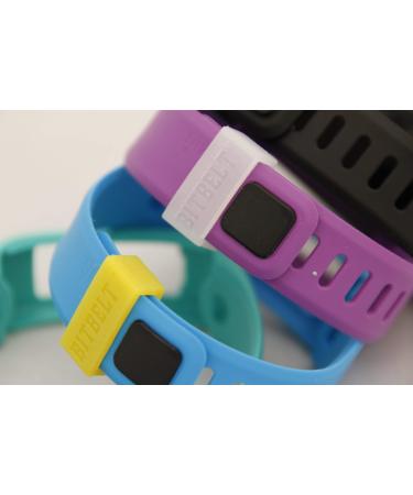Bitbelt Band Lock for Magicband, Fitbit,Vivofit- 2 Pack 90 Day Warranty. We Invented The Fitbit Clasp fix. (Clear)