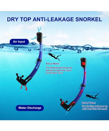 Piyazi Adult Snorkeling Gear Set | 180 Panoramic Mask | Dry Top Snorkel | Anti-Fog | Wide View | Scuba Diving Package with Travel Bag | Blue - Buy Online on GoSupps.com