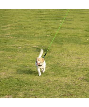 Vivifying Long Dog Lead 32FT Reflective Training Line for Camping Hiking Beach - Green - Buy Online on GoSupps.com