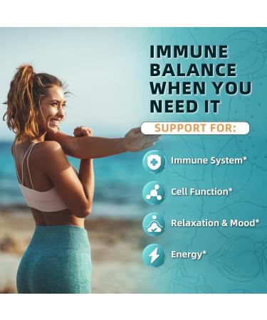Soursop Graviola Capsules 11 in 1 with Moringa Black Seed Turmeric Extract Soursop Leaf & Fruit Supplement for Immune System Antioxidant Gut Health Support High Absorption 90 Capsules natural - Buy Online on GoSupps.com