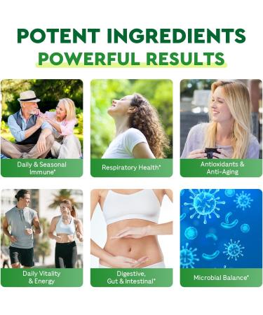 Oil Of Oregano with Black Seed Oil - 20000mg Oregano | 17 in 1 Herbal Blend with Probiotic 20x Strength Carvacrol & Thymoquinone | For Immune Antioxidant & Digestive 120 Liquid Phyto-Capsule Pack of 1 - Buy Online on GoSupps.com
