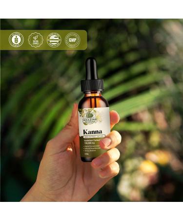 Amazing Botanicals Premium Organic Kanna Extract Tincture 200x Menstrum - Sceletium Tortuosum Liquid Drops Non-GMO, Vegan, Gluten-Free, Alcohol-Free, Liquid Supplement 60ml (2oz) 2 Fl Oz (Pack of 1) - Buy Online on GoSupps.com