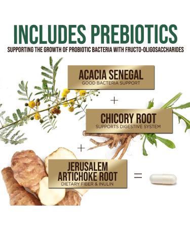 Probiotics 50 Billion CFU + 10 Strains - Max Absorption Daily Probiotic for Women & Men Lactobacillus Blend for Immune Support Prebiotics for Digestive & Gut Support Bottle In USA - 120 Capsules 120 Count (Pack of 1) - Buy Online on GoSupps.com