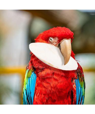 20 Pieces Tall Sepia Shells - Natural Sepia Bowls for Turtles Birds & Reptiles | Cuddly Bones & Feed Toys - Buy Online on GoSupps.com