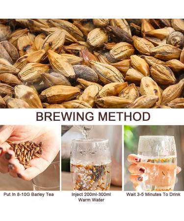 Buy PlantGift Barley Tea 200G - Caffeine Free Sugar Free Digestive Support & Fat Burning Mugicha - Buy Online on GoSupps.com