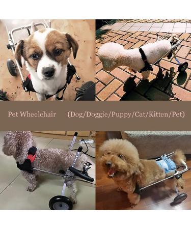 Homend Adjustable Dog Wheelchair for Disabled Hind Legs Puppy Cat/Dog/Puppy Walking Hind Legs Rehabilitation Easy Assemble Lightweight Small - Buy Online on GoSupps.com