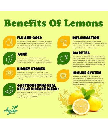 ORGANIZE Agile Organic Organic Lemon Powder 200gms - Buy Online on GoSupps.com