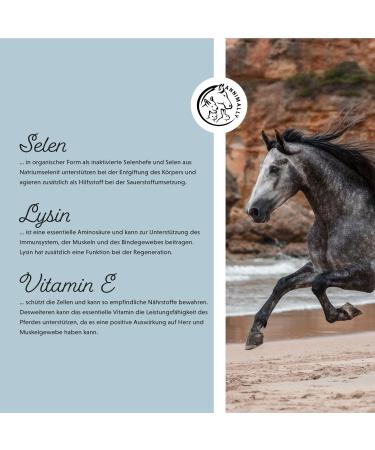 Annimally Horse Vitamin E Lysine & Selenium Powder - 2kg Refill for Muscle Support & Performance - Buy Online on GoSupps.com