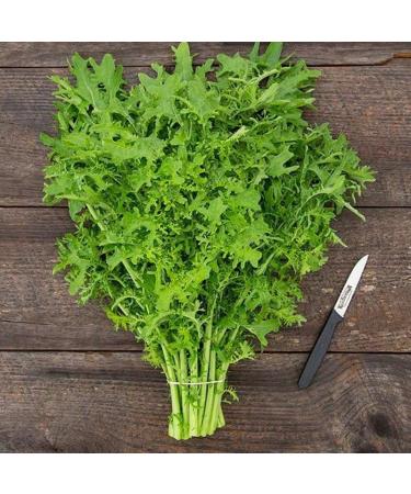 Mustard tendergreen Seeds - 100+ Premium Quality Seeds