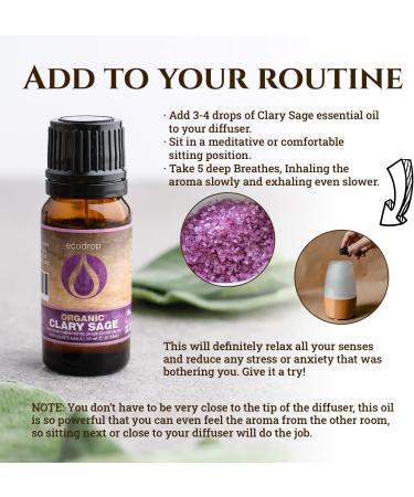 Ecodrop Clary Sage Essential Oil - 10ml Bottle | Pure & Natural Therapeutic Grade Salvia Sclarea Oil - Organic Aromatherapy for Stress Relief, Digestion & Mood | Massage & Bath Oil - Buy Online on GoSupps.com