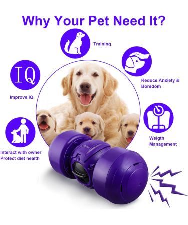 Leipple Interactive Dog Toy for Large Dogs - Rolling Treat Dispenser & Puzzle Toy - Durable Slow Feeder for IQ Improvement & Boredom Reduction - Medium to Large Dogs (Purple) - Buy Online on GoSupps.com
