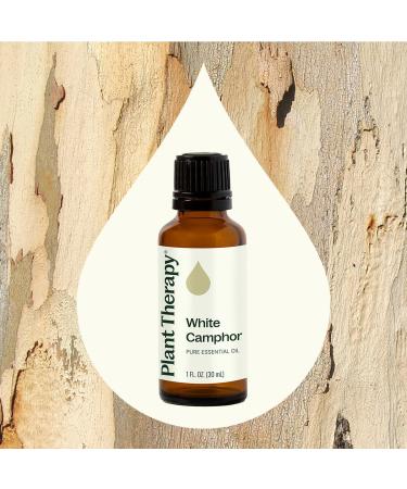 Plant Therapy White Camphor Essential Oil 30 mL (1 oz) 100% Pure Undiluted Supports Respiratory Health - Buy Online on GoSupps.com