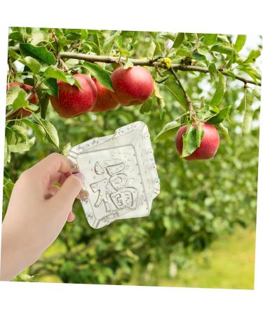 SUPVOX 2pcs for Growing Grow Tools Growth Shaped Forming Reusable Shape Fruit Shaping Plastic - Buy Online on GoSupps.com