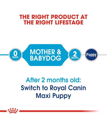 ROYAL CANIN - Maxi Starter Capacity: 4 kg - Buy Online on GoSupps.com