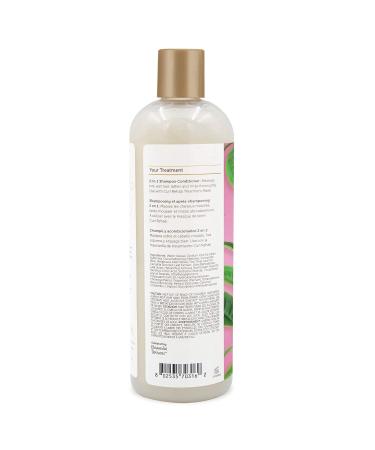 Scalp Recovery Treatment 2 in 1 Shampoo & Conditioner - Tea Tree & Green Tea 16 Oz - International Shipping Available - Buy Online on GoSupps.com