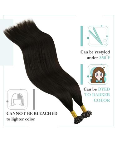 Youngsee Real Hair Extensions - Bonding | 40cm Brown Remy Hair U Tip | 50g Dark Brown #2 - Buy Online on GoSupps.com