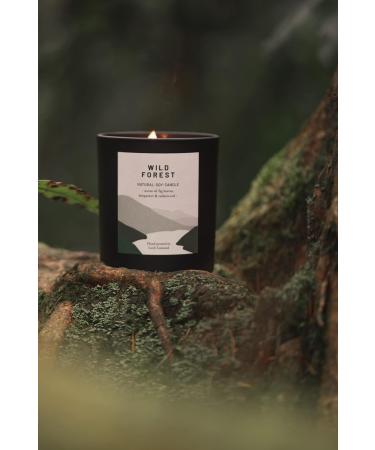 Organic & Vegan Luxury Scented Candles Handmade in Scotland | Wild Forest Collection (+7 Scents) - Buy Online on GoSupps.com
