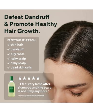 AROMATICA Plant-Based Vegan Shampoo Collection - Rosemary Tea Tree Quinoa - Sulfate, Silicone, and Paraben-Free - Trial Set - Buy Online on GoSupps.com