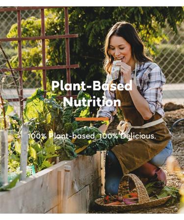 GoMacro Organic Vegan Protein Bars - Banana & Almond Butter (12-Pack) | 1.9 oz Each - Buy Online on GoSupps.com