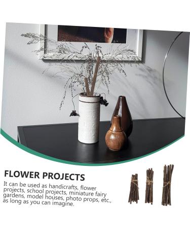 Lurrose 30pcs Stick Decor Diy Branch Accessory Natural Birch Twigs Wood Craft Diy Twig Earth Tones Lip Gloss - Buy Online on GoSupps.com