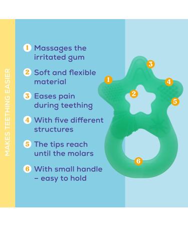 Dentistar Bei ring 2 Set - Baby Teether for 3 Months+ | Soft Dental Aid & Massage Ring - Made in Germany - Gr n & Lila - Buy Online on GoSupps.com