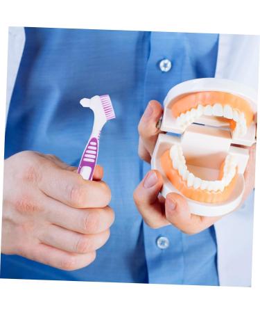 Buy Gogogmy 2-Piece Prosthesis Cleaning Brush | Portable Double-Sided Toothbrush for Dentures & Oral Care - Buy Online on GoSupps.com